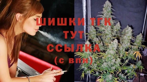 соль ск Арсеньев