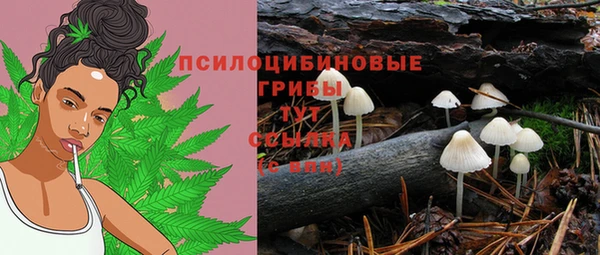 МДПВ Армянск