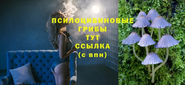 соль ск Арсеньев