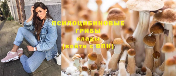 спайс Аркадак