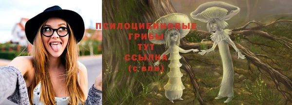 соль ск Арсеньев